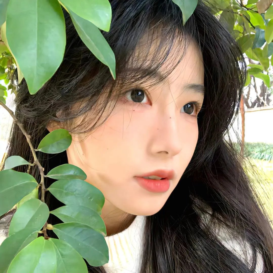 堕落的偶像